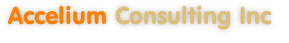 Accelium Consulting Inc
